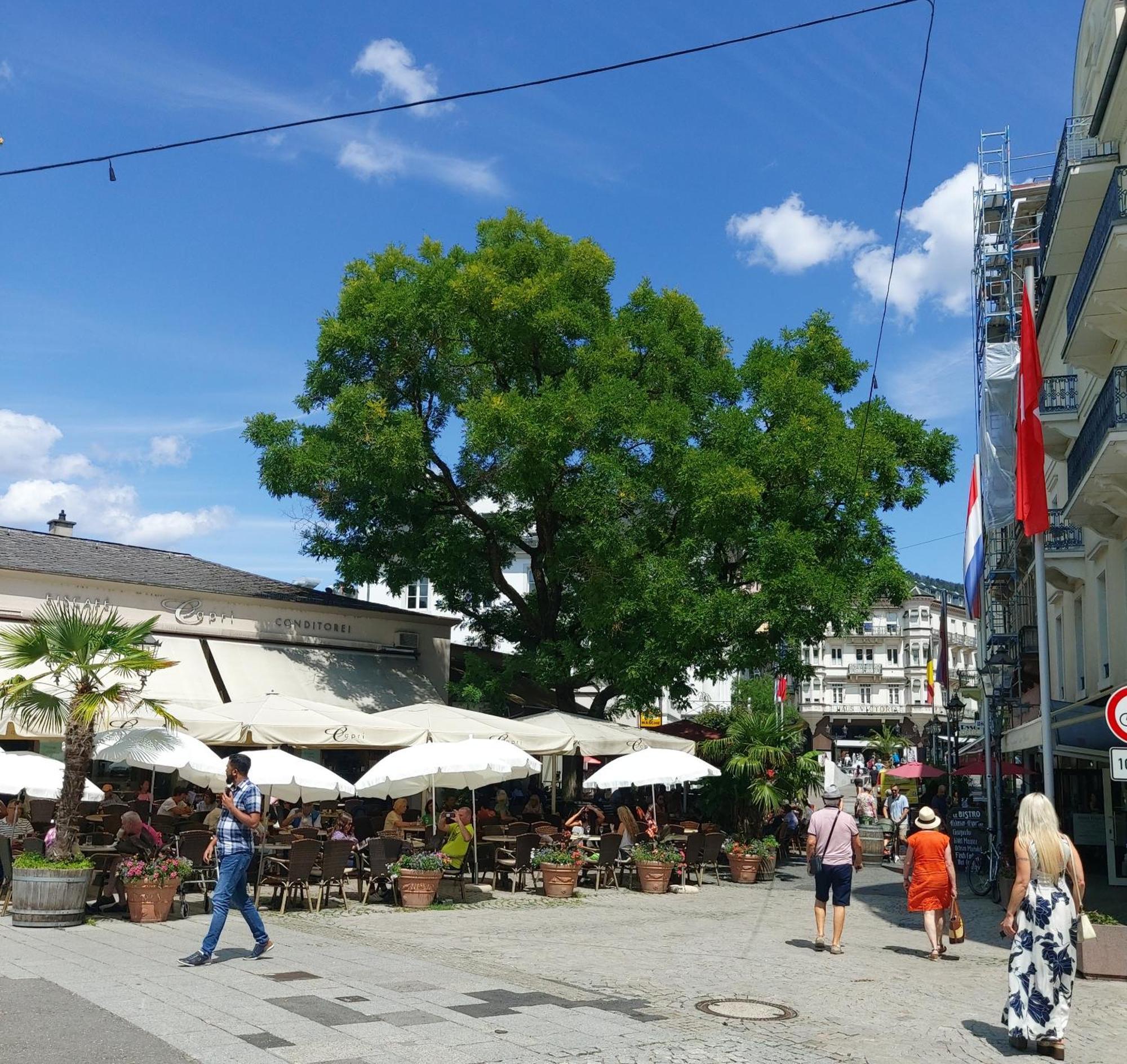 Gemuetliches J&L Apartment Nahe Des Hauptbahnhofes 巴登-巴登 外观 照片